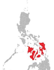 visayas cities list|Template : Largest cities and municipalities in the Visayas.